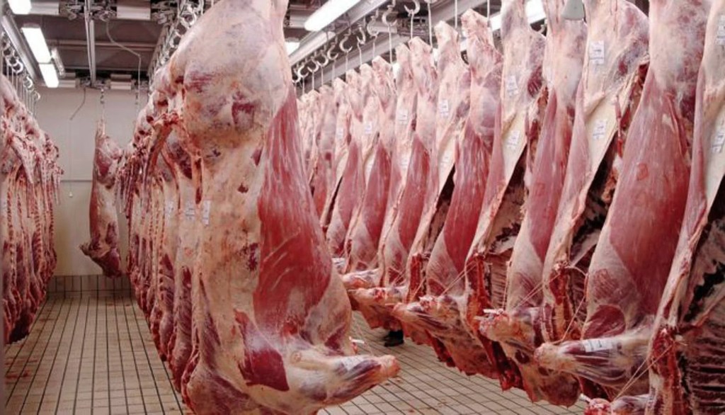El precio promedio de la carne vacuna disminuyó un 25% a pesar del aumento en&nbsp;exportaciones