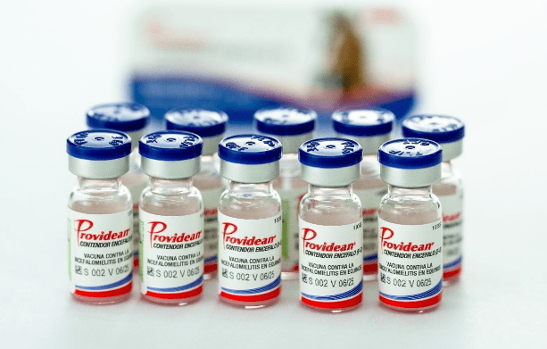 Sanidad animal: ¿Cuáles son las vacunas obligatorias más costosas para los productores&nbsp;ganaderos?