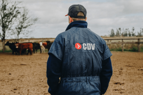 El laboratorio CDV cruzó a Tecnovax tras la llegada de su vacuna contra la aftosa: “No respetaron las normas&nbsp;sanitarias”