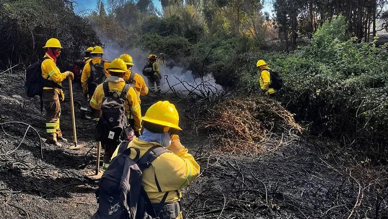 Incendio en Neuquén: Los brigadistas lograron trasladar a 400 personas de una zona crítica 