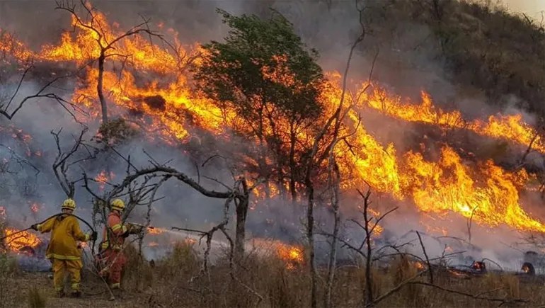 Parque Nacional Lanín: El trabajo de Vialidad es fundamental para frenar el&nbsp;incendio