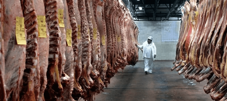 Autorizan el ingreso de carne con hueso a la&nbsp;Patagonia