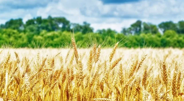 Alerta por posible regreso de La&nbsp;Niña