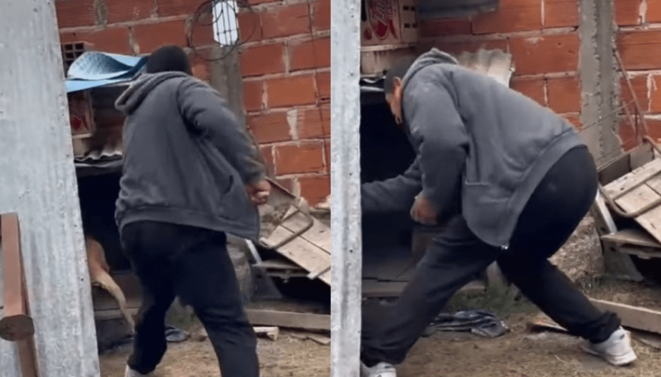 Detuvieron a un hombre acusado de maltrato animal en Los&nbsp;Hornos